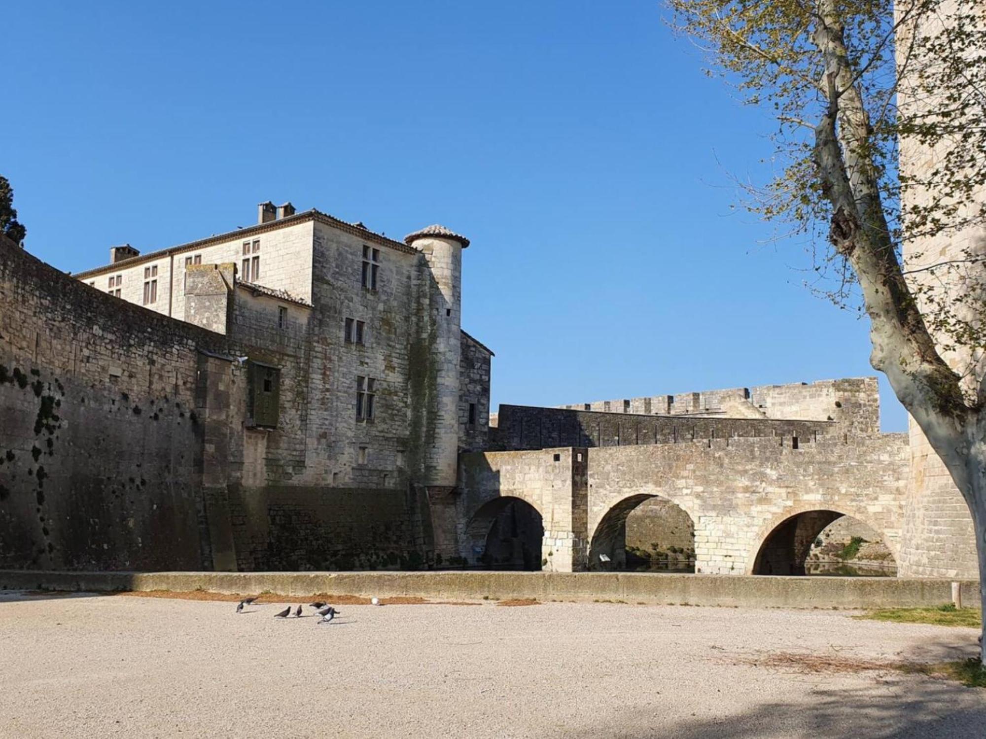 Maison Cosy, 2 Chambres, Adossee Aux Remparts Aigues-Mortes Eksteriør bilde